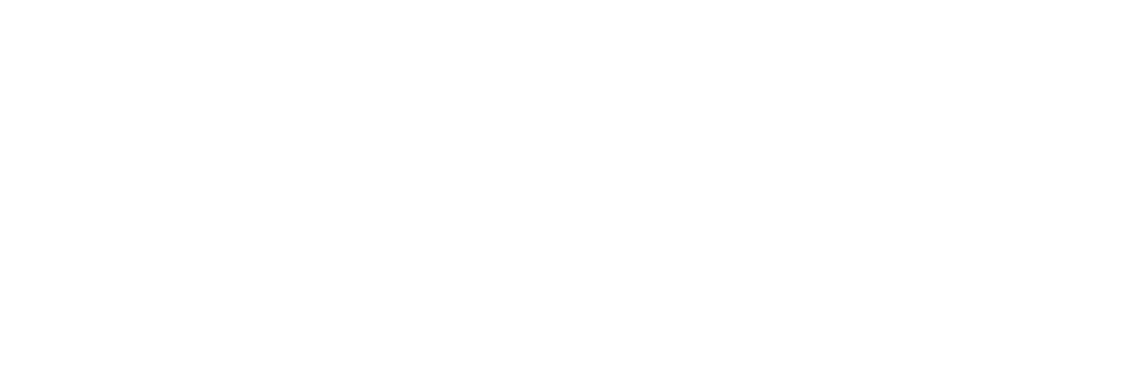 Logo_LANG_BARANDAY
