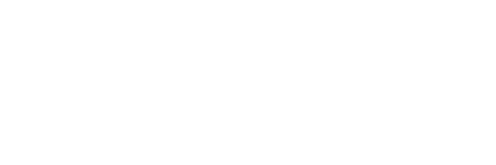 Logo_LANG_IBERIA